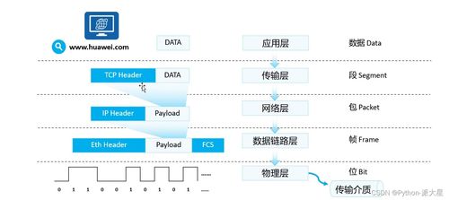 網絡基礎概覽 設備、模型、協議與通信過程